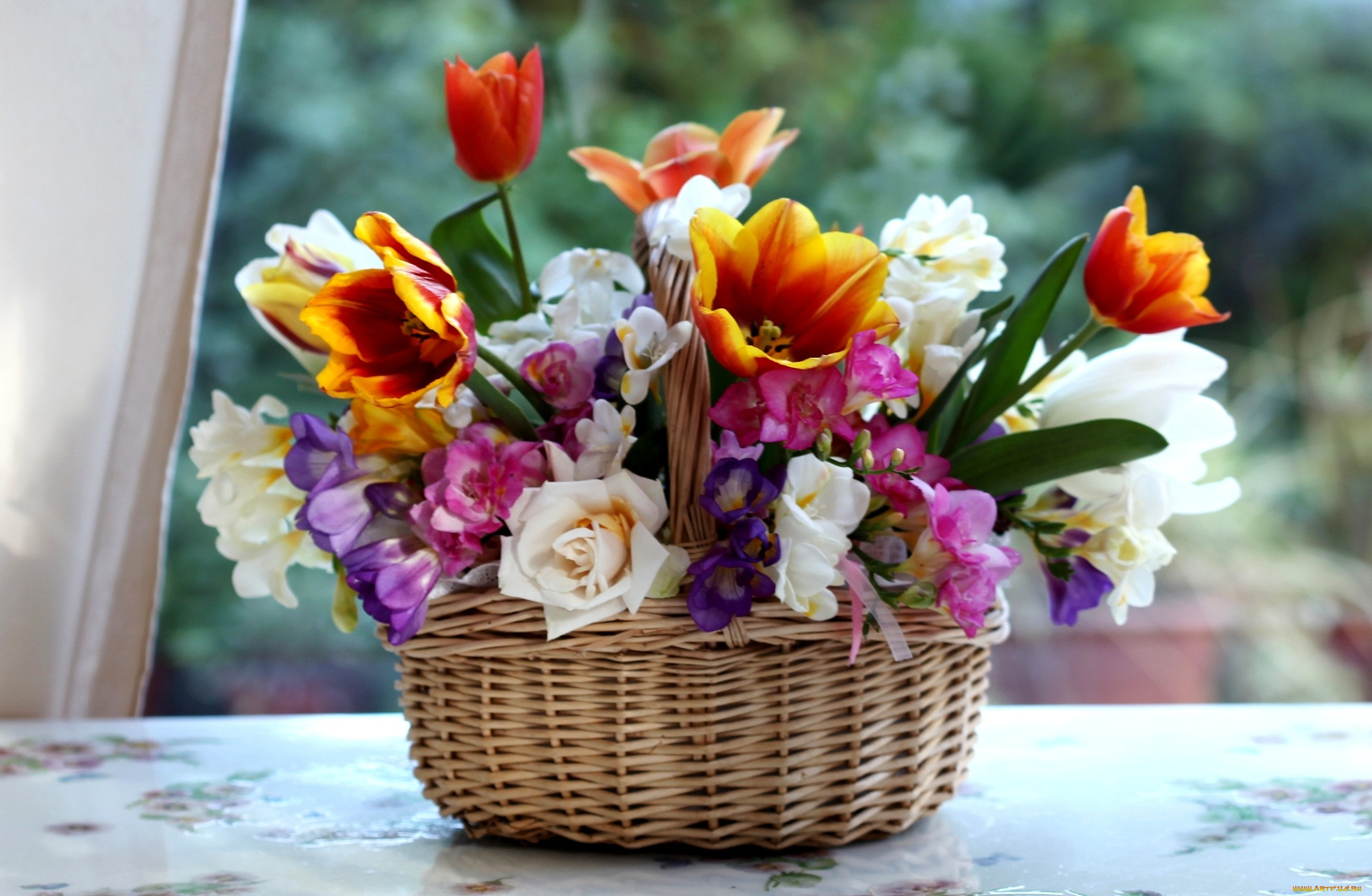 Мартовские цветы красивые. Фрезия нарциссы. Фрезия и тюльпаны. Весенний букет.